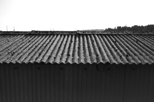 roof1304